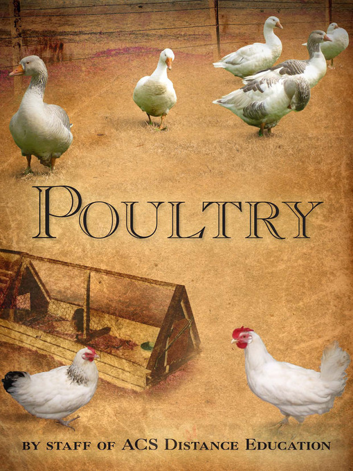 Title details for Poultry by Jade Sciascia - Available